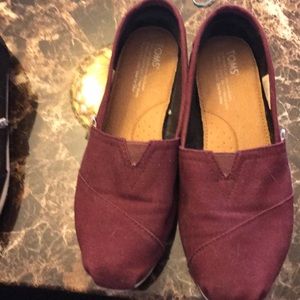 Toms burgundy